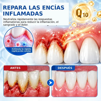 PerioCore - Suero periodontal con veneno de abeja