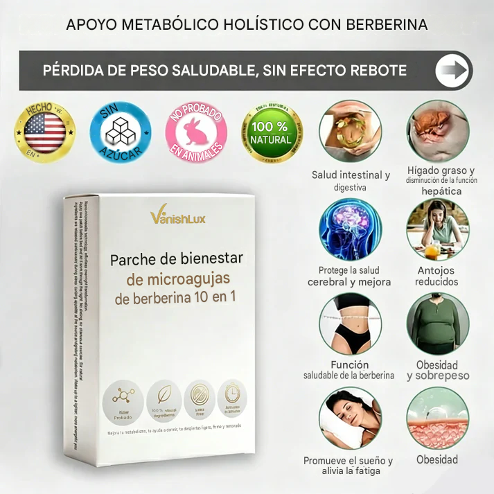 VanishLux® Parche De Nano Micro Agujas