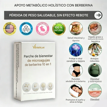 VanishLux® Parche De Nano Micro Agujas
