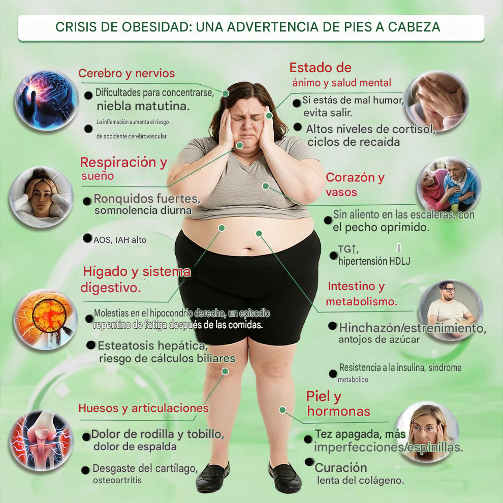 Moringa · Berberina × NAD+ — Parche avanzado de nanomicroagujas 10 en 1